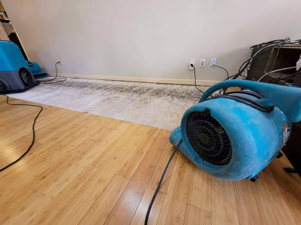 Professional Water Damage Repair technician working in Milton, DE